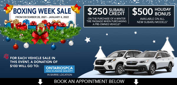 Boxing Week Sales Event